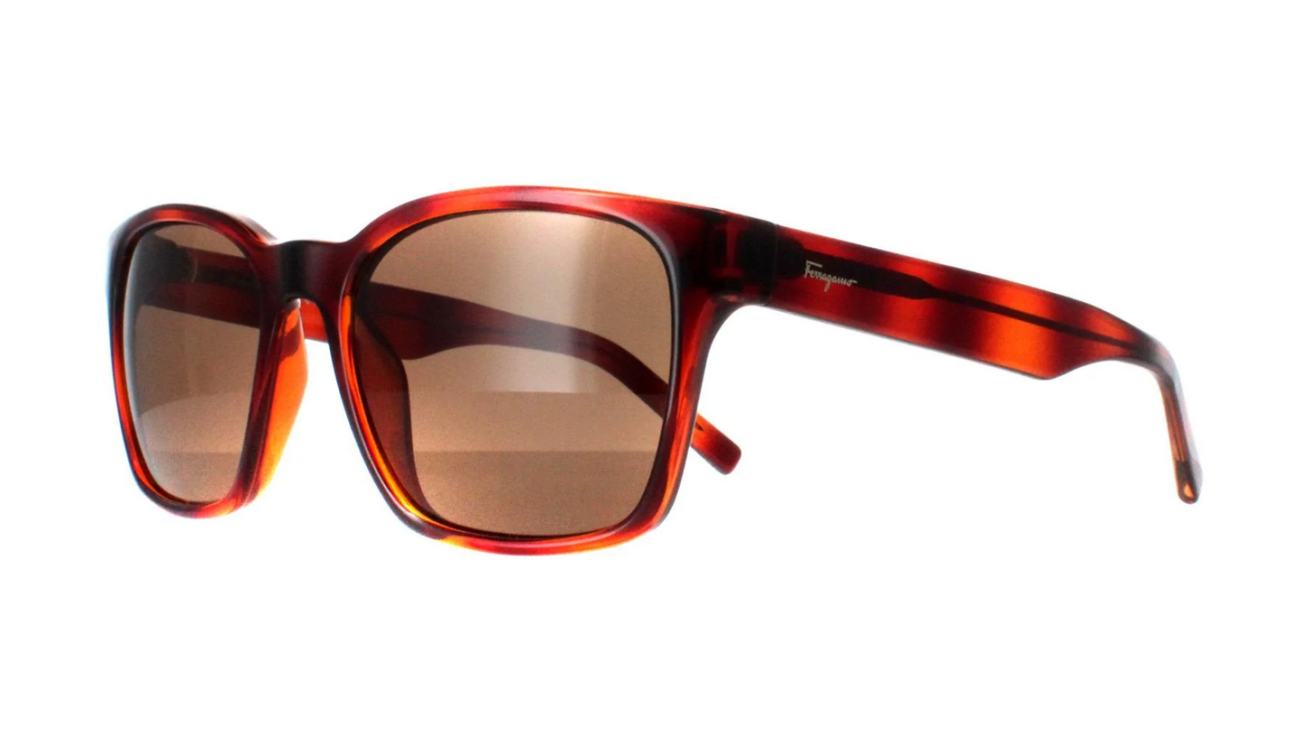 SF959S Tortoise Brown