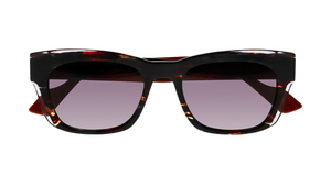 2215 - Dark Coco Wood Tortoise