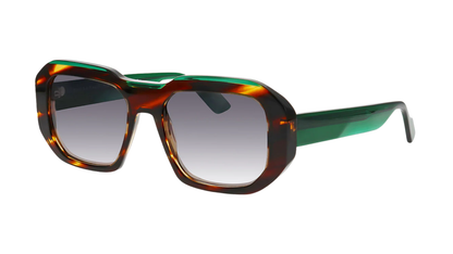 Face a Face Shiro 3 - 1199 - Blaze Tortoise