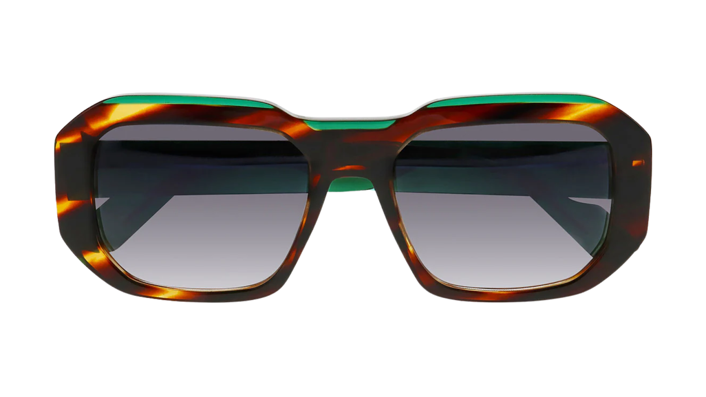 Face a Face Shiro 3 - 1199 - Blaze Tortoise