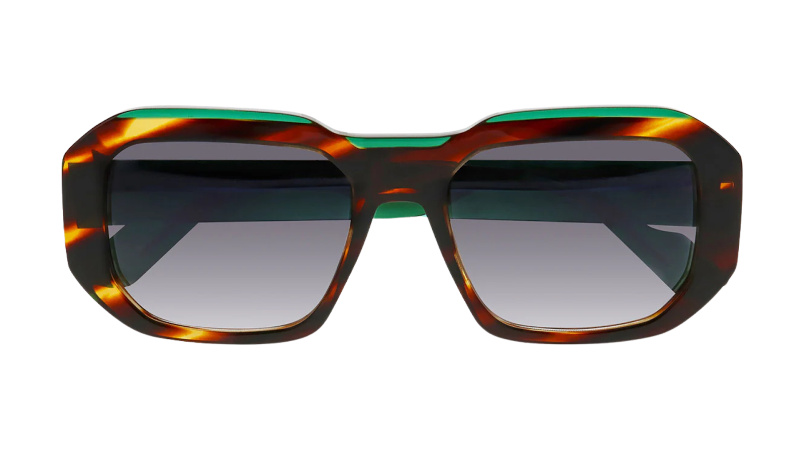Face a Face Shiro 3 - 1199 - Blaze Tortoise