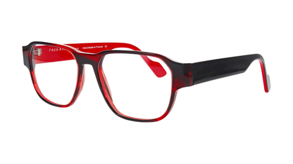 Face a Face James 2 - 1074 - ed Transparent Tortoise