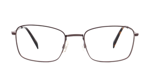 2306 - Tortoise/Brown