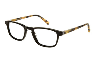 Black Tortoise