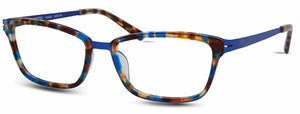 Blue Tortoise