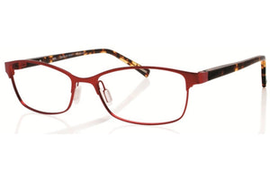 Red Tortoise