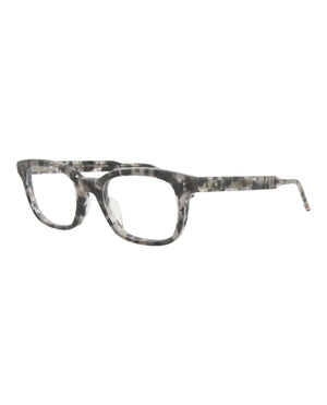 Grey Tortoise