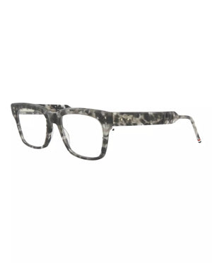 Grey Tortoise