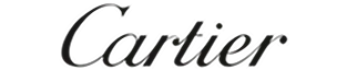 Brand Image Alt