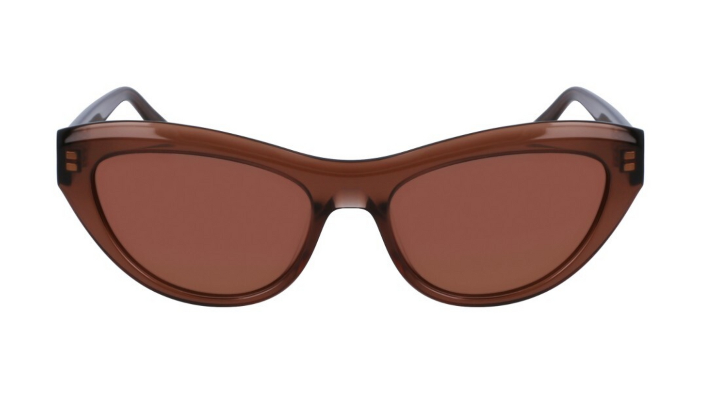 SF1103S Transparent brown