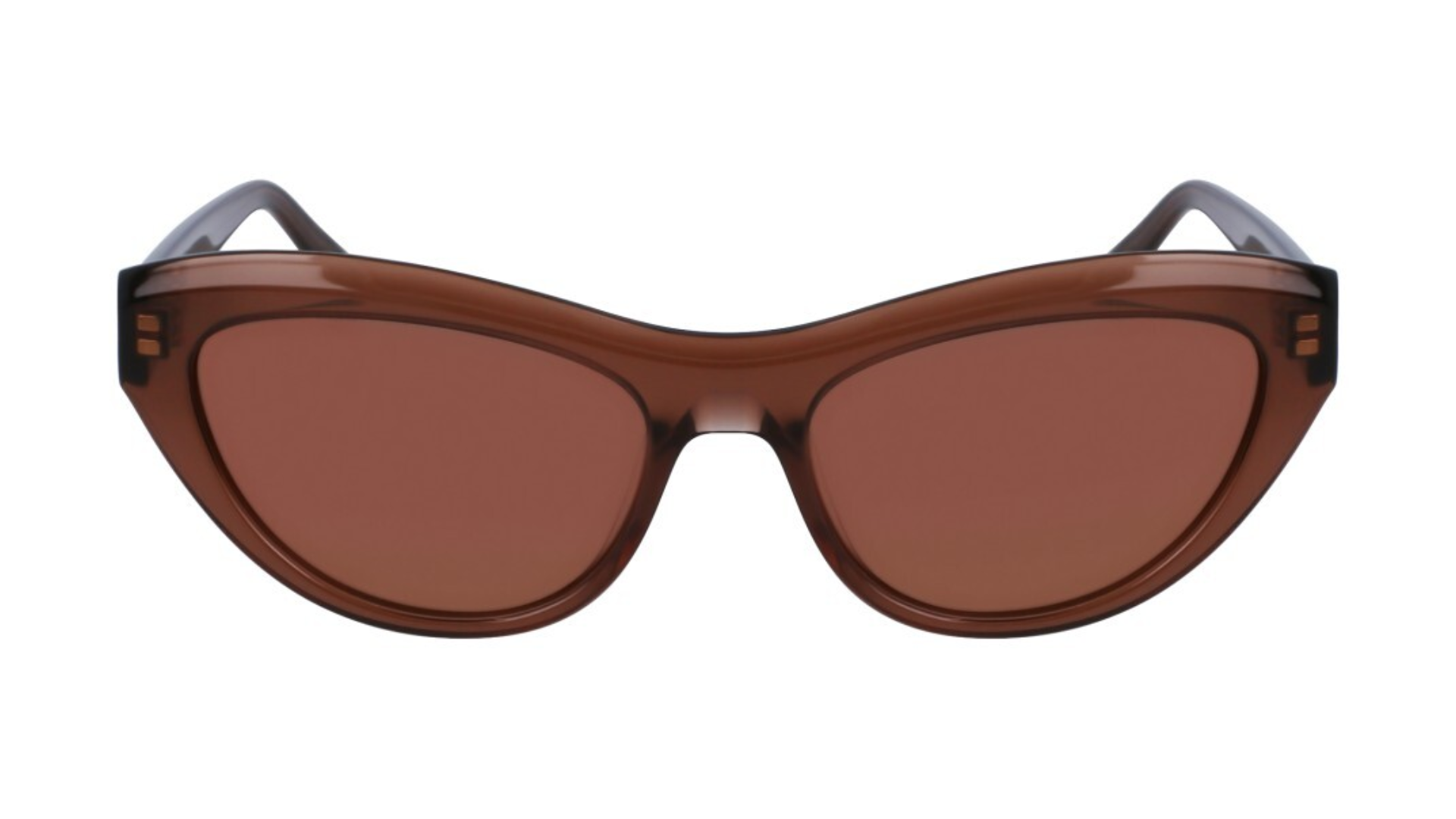 SF1103S Transparent brown