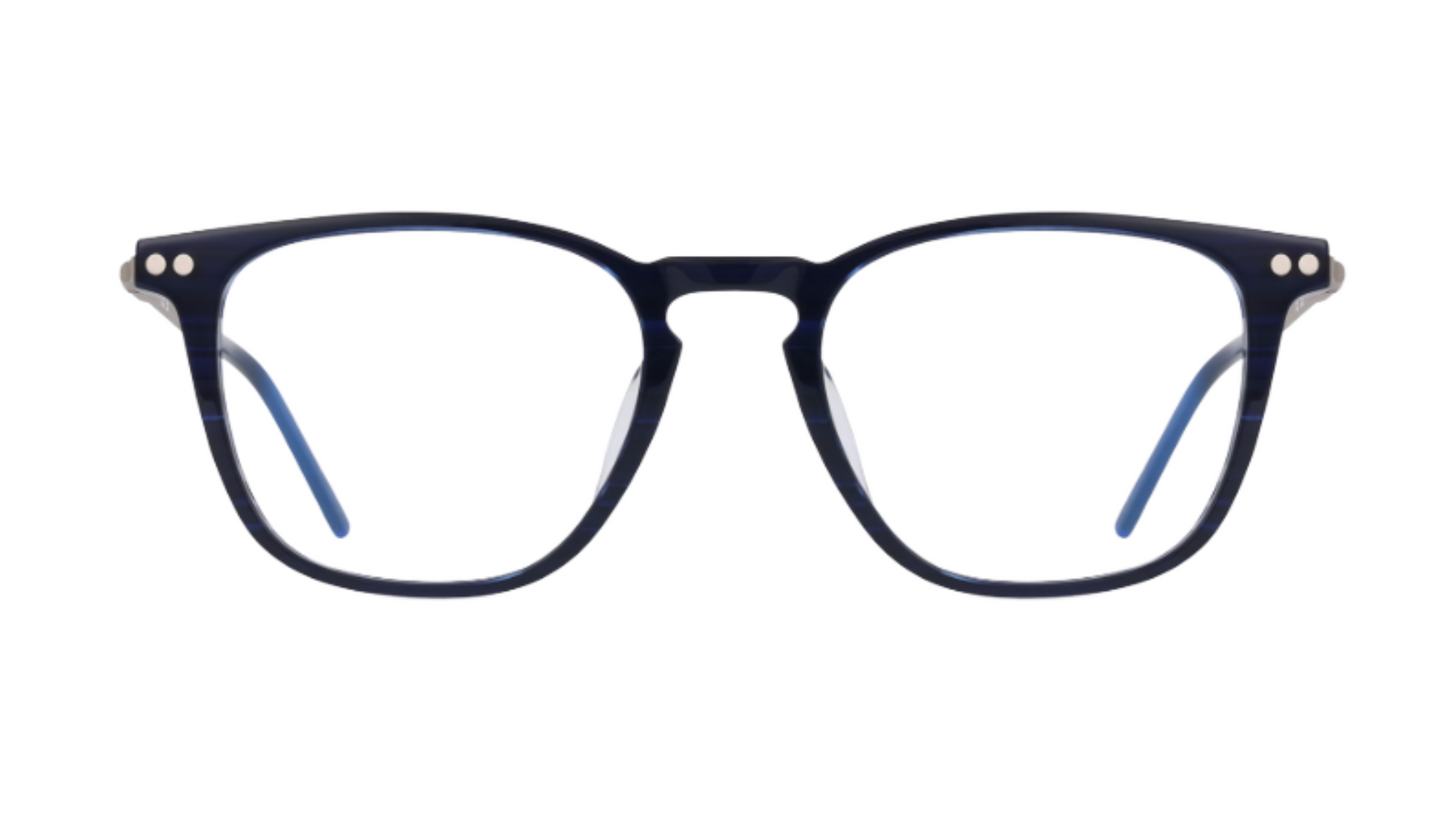 ZS22701 Navy Horn