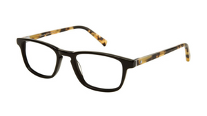 Black Tortoise