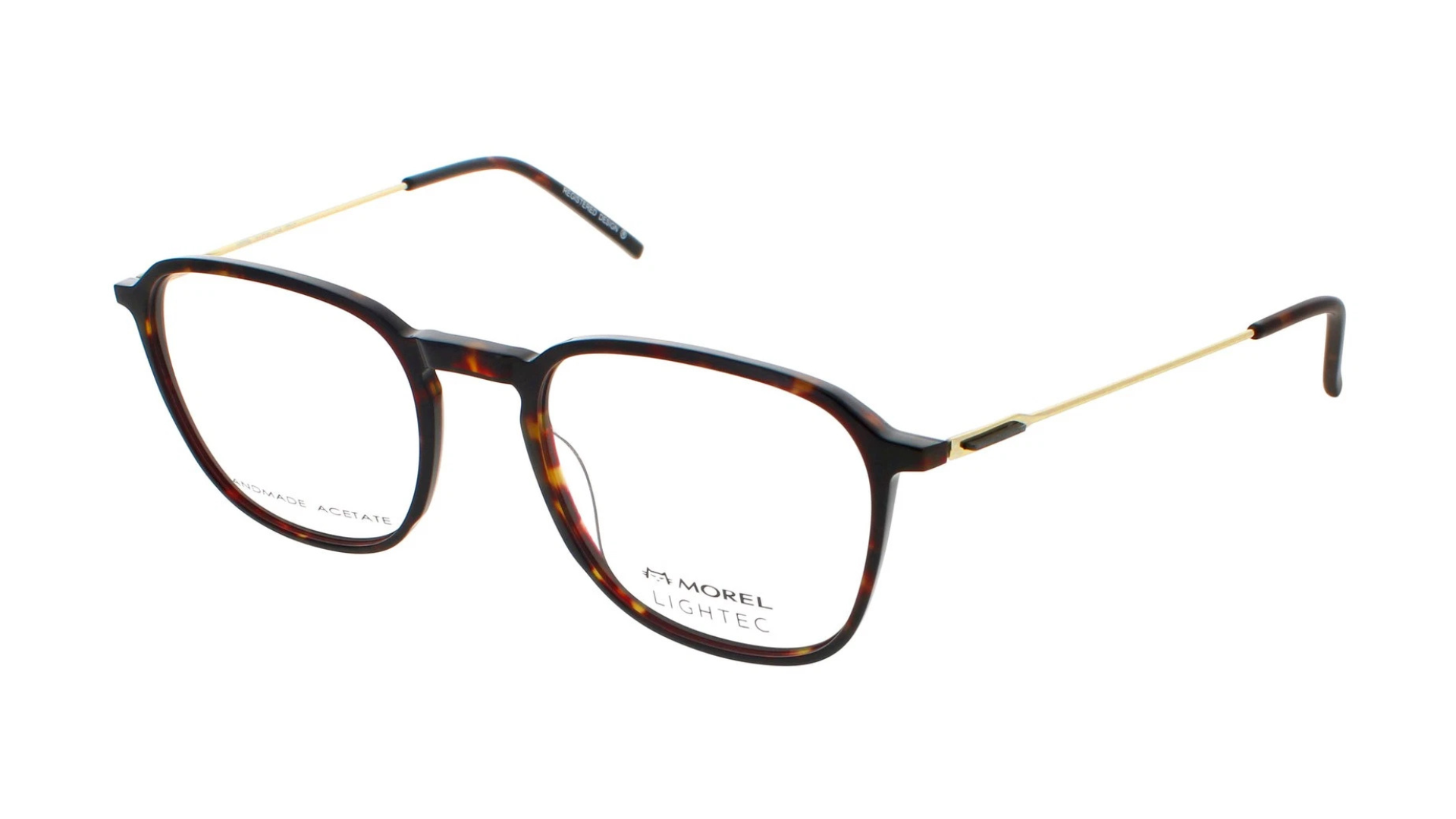 30228L Brown Tortoise
