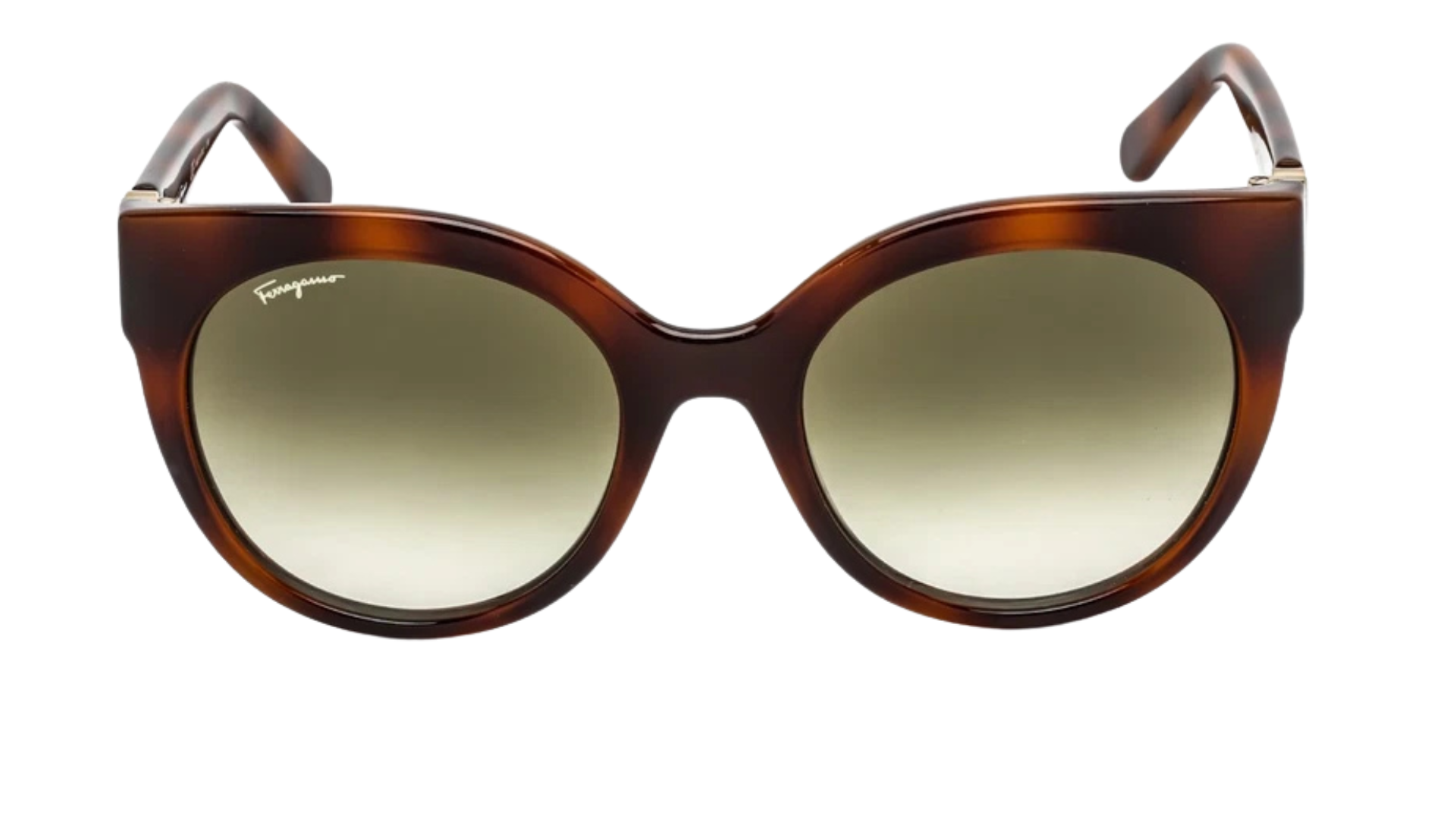 SF1031S Tortoise