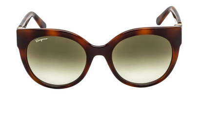 SF1031S Tortoise