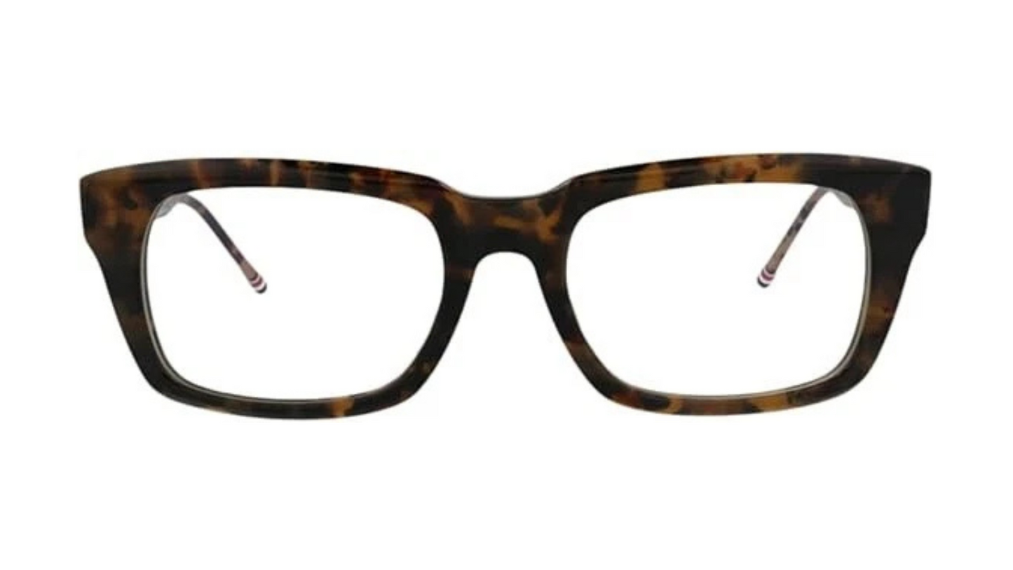 TB005 Tortoise