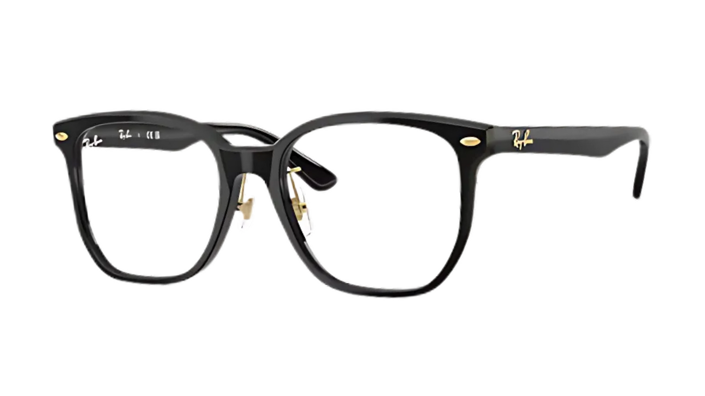 RB5425D Black/Gold