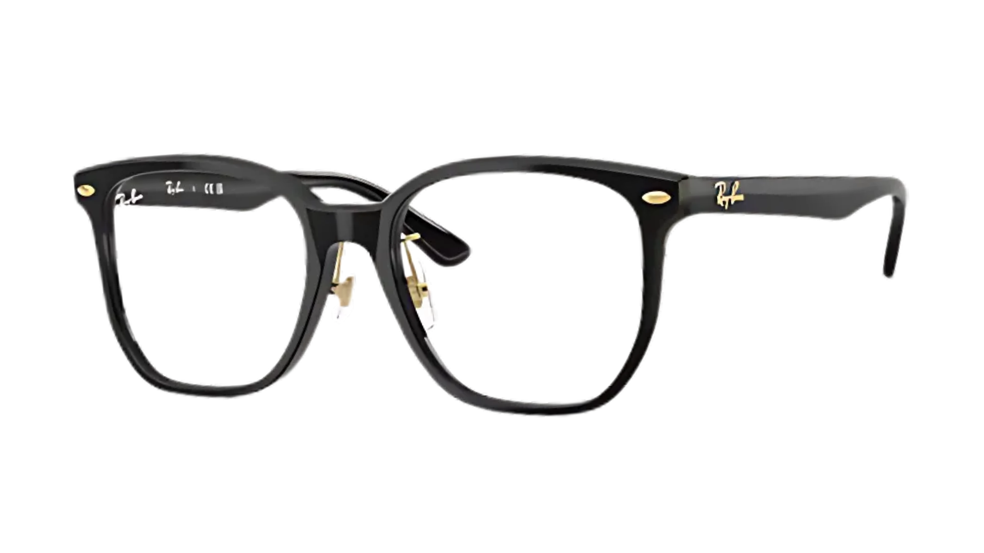 RB5425D Black/Gold