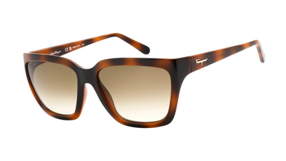SF1018S Tortoise