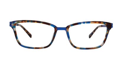 4500.0 Blue Tortoise