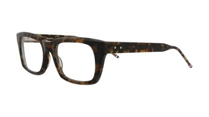 TB005 Tortoise