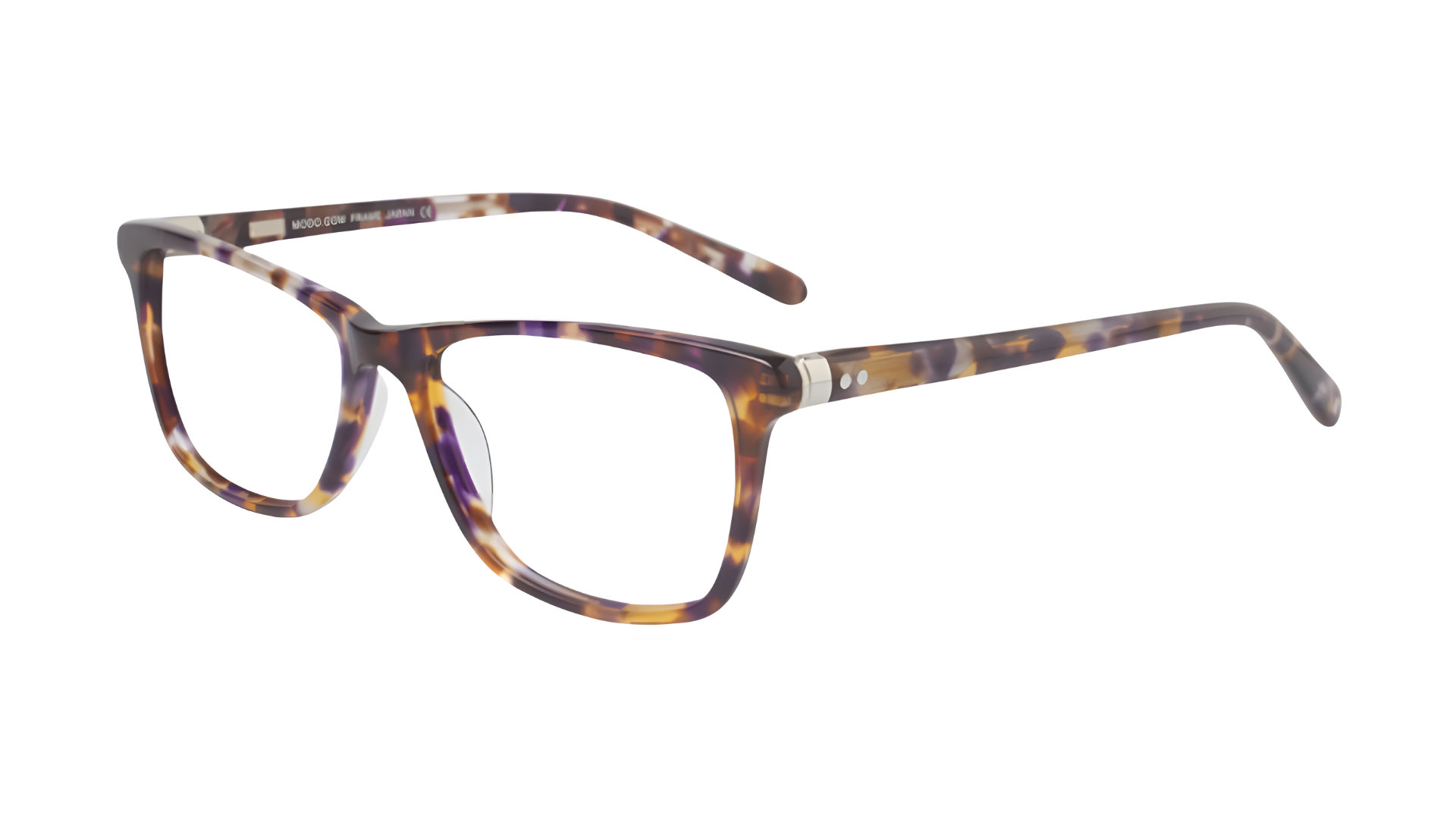 6516.0 Purple Tortoise