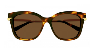 TORTOISE/GOLD