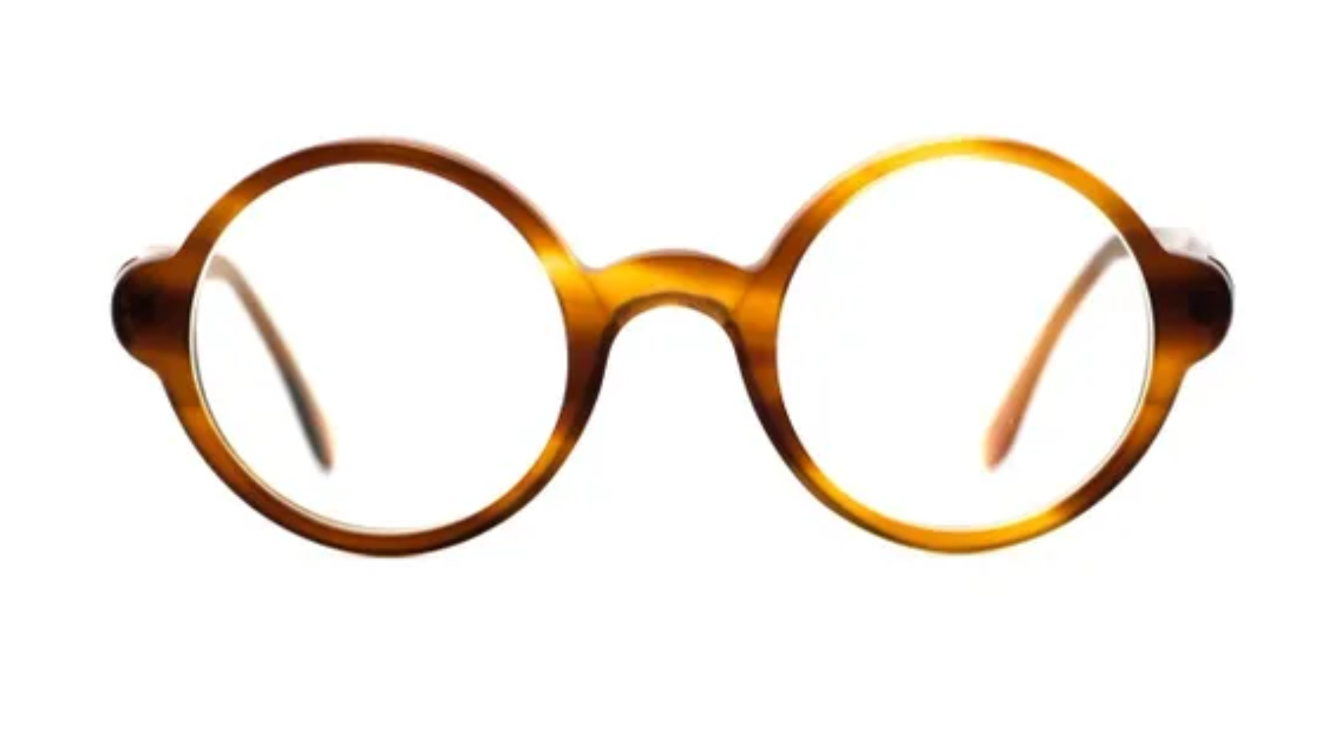 2351.0 Tortoise
