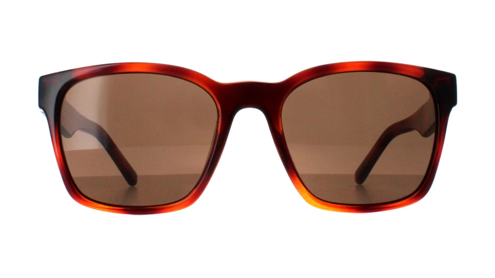 SF959S Tortoise Brown