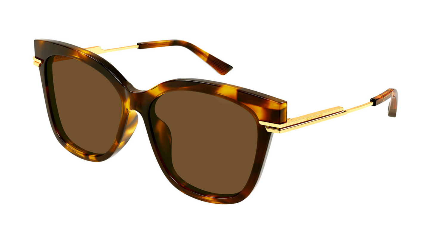 BV1296SA Tortoise/Gold