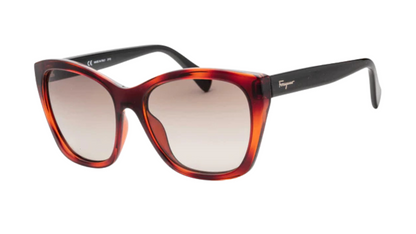 SF957S Tortoise