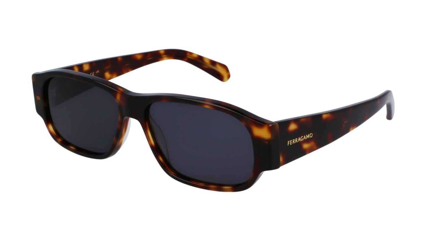 SF1109S Dark Tortoise