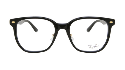 RB5425D Black/Gold
