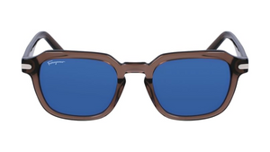 Transparent Smoke Brown