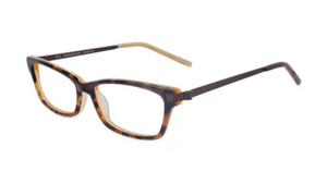 Tortoise Yellow
