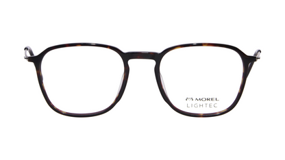 30228L Brown Tortoise
