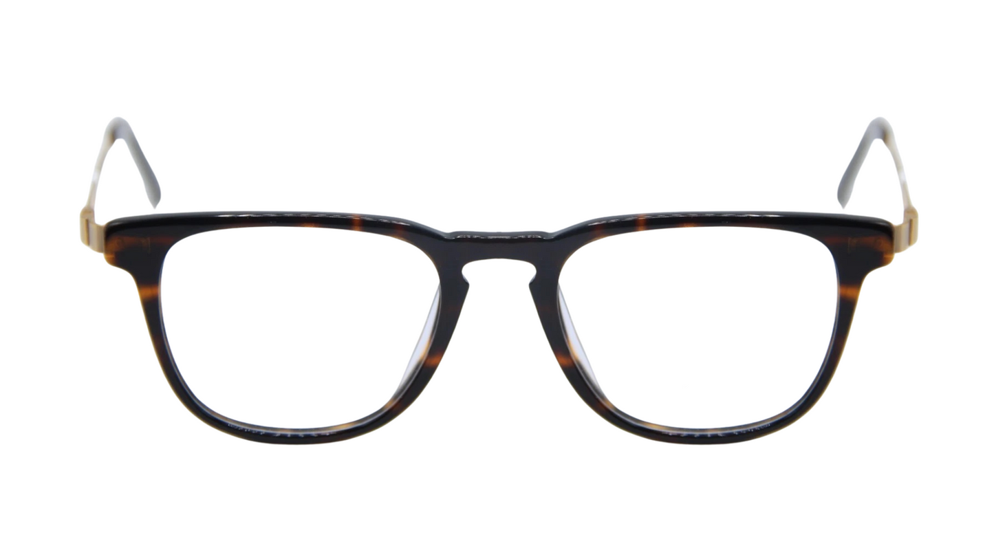 Athens Dark Tortoise