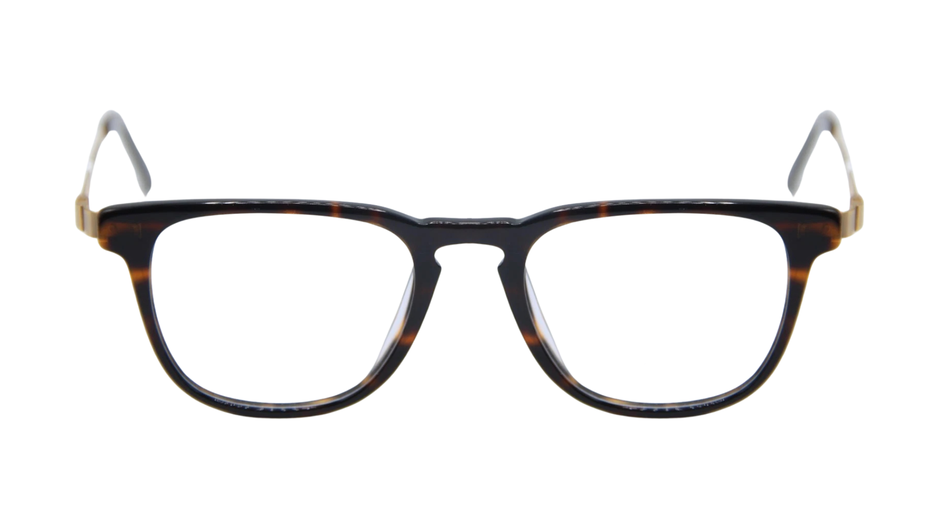 Athens Dark Tortoise