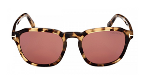 Shiny Light Tokyo Tortoise