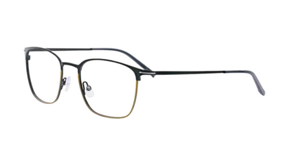 30319L Grey/Brown
