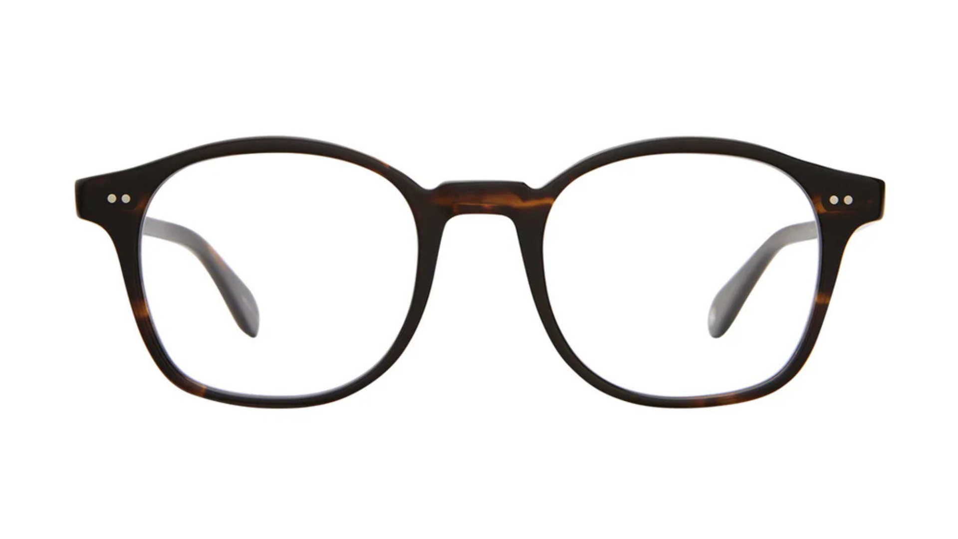 RILEY Coffee Tortoise