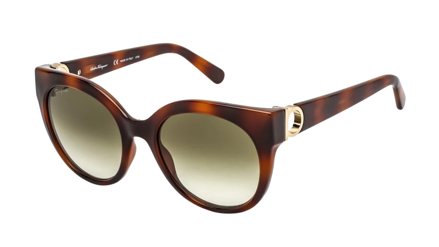 SF1031S Tortoise