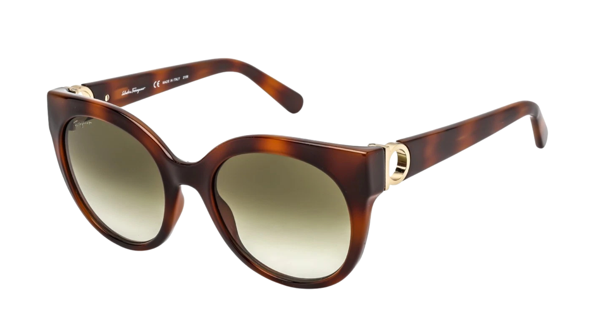 SF1031S Tortoise